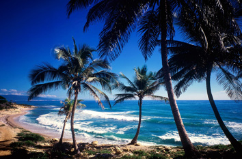 Dominican Republic travel specialist