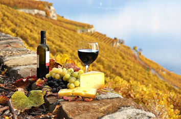 Provence and Spain specialist